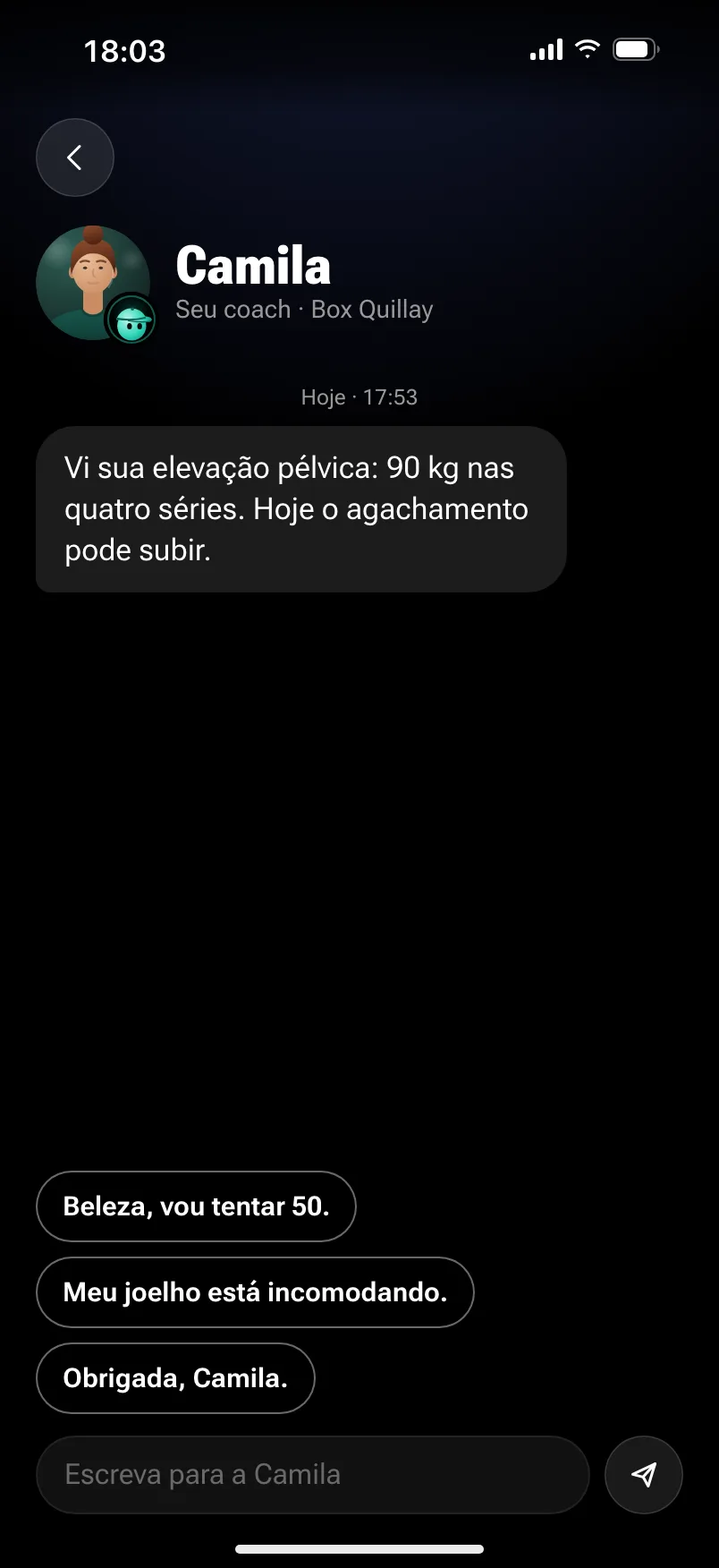 A conversa com a Camila, a coach dela: “Vi sua elevação pélvica: 90 kg nas quatro séries. Hoje o agachamento pode subir.”, com respostas rápidas.